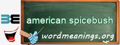 WordMeaning blackboard for american spicebush